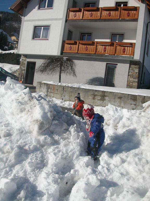 Haus Moni Apartment Mauterndorf  Luaran gambar